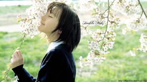 堀北真希 壁紙 画像