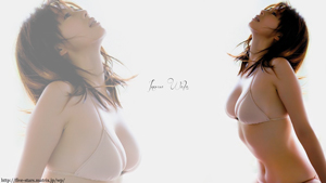 井上和香 壁紙 画像