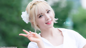 AOA チョア 壁紙 画像