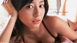 杉本有美 壁紙 画像